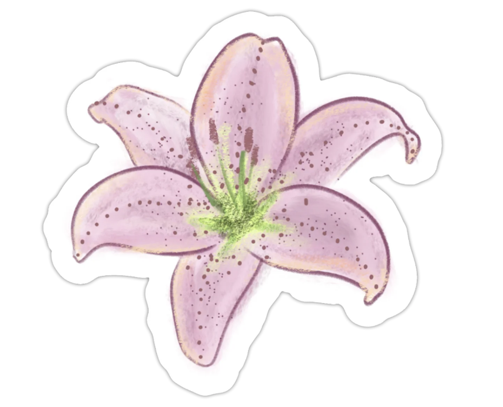 Sticker Lys rose - 6cm x 6cm